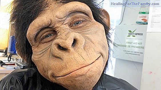 How to make, step by step, a monkey mask