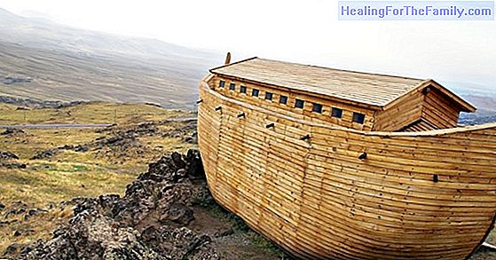 Noah's ark. Children's Songs