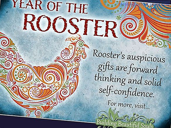 The Chinese zodiac for babies Rooster