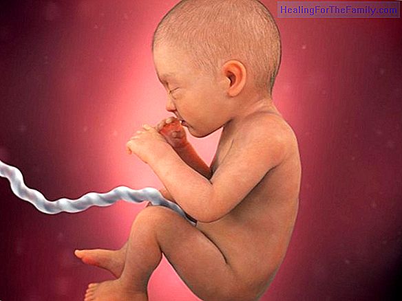 10 Things that the baby does in the womb