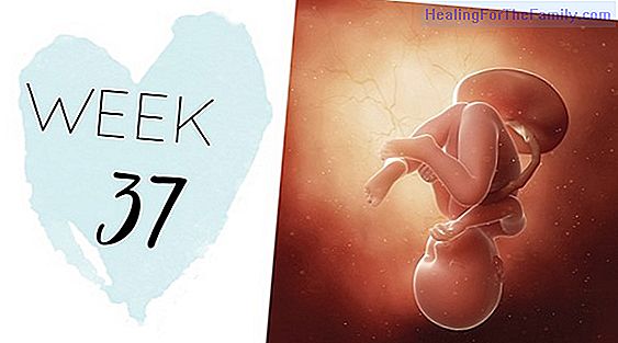 37 Weeks of pregnancy