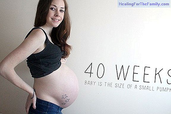40 Weeks of pregnancy or gestation