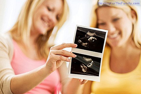 What is meant by a surrogate mother