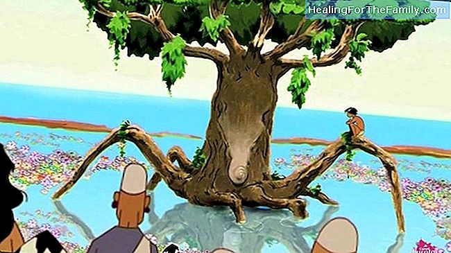 Gorgoé, det magiske treet til havene. Legend Barn