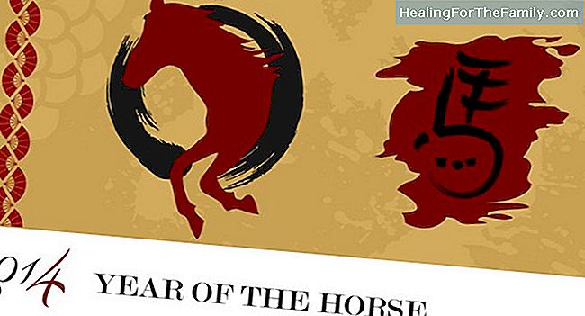 Kiinalainen horoskooppi Hevonen