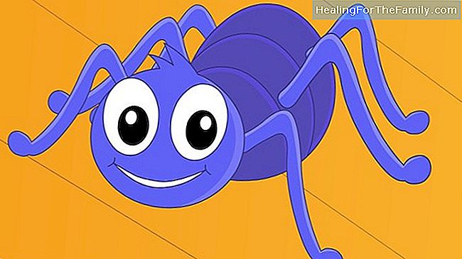 Incy Wincy Spider. Song oppimisen Englanti