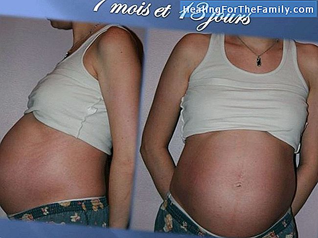 Bébé de 21 mois mois de développement de bébé