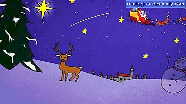 Douce nuit, Sainte nuit. Canções de Natal para crianças