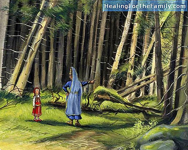 Anniversaire dans la forêt. contes pour enfants sur la forêt