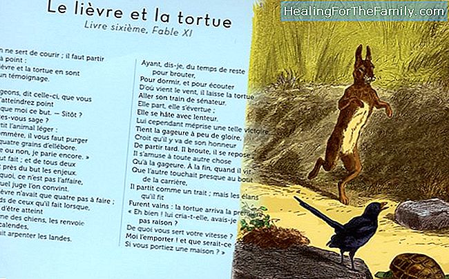 Le renard et la perdrix. fable populaire du Chili Enfants