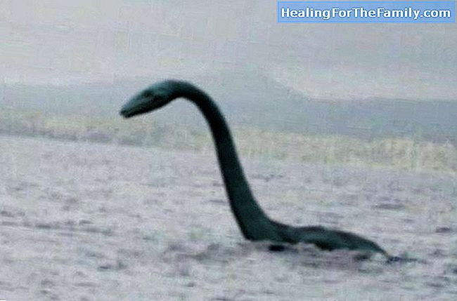 Le monstre du Loch Ness. Les histoires de monstres pour les enfants