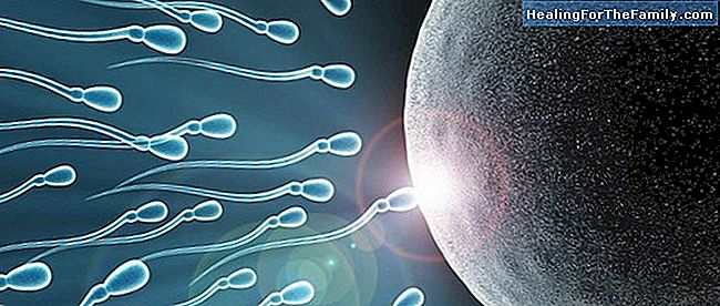 Stérilité et infertilité. Différences et traitement