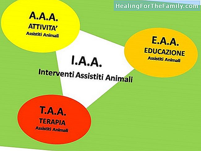 Benefici delle terapie con gli animali per i bambini con disabilità