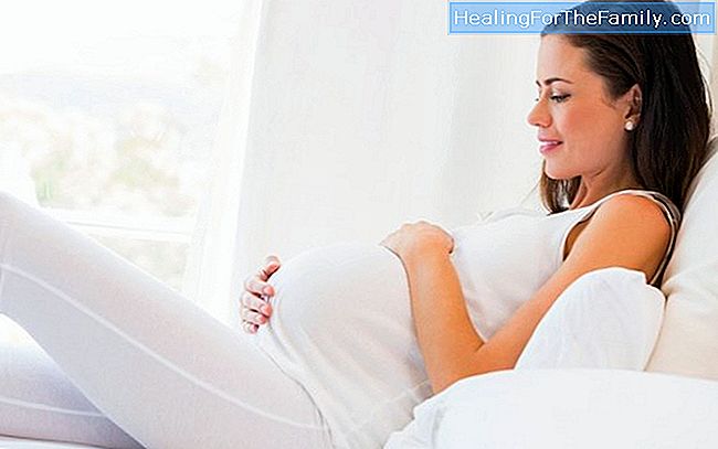 Precauzioni della dieta vegetariana in gravidanza