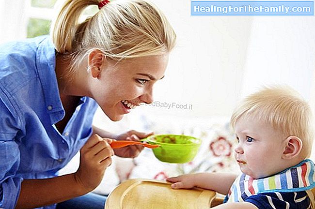  Quando per introdurre il glutine nella dieta del bambino