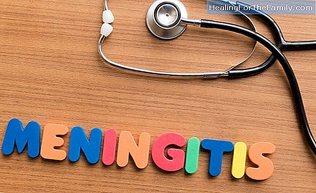 Qual è il meningococco e come colpisce i bambini
