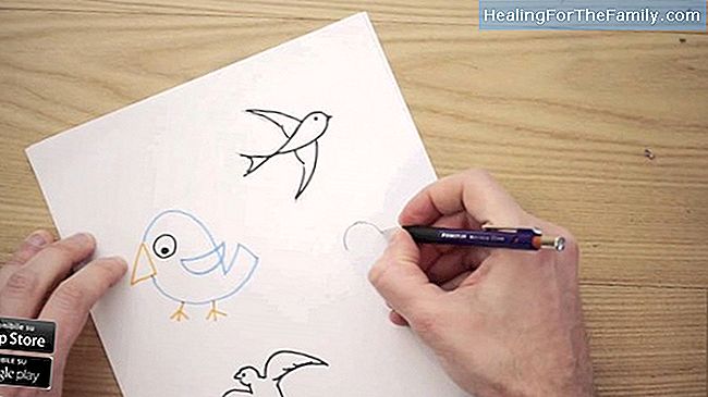 Come disegnare un coniglio. disegni di animali per bambini