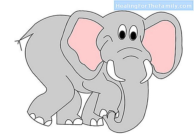 L'elefante. Canzone per bambini in inglese