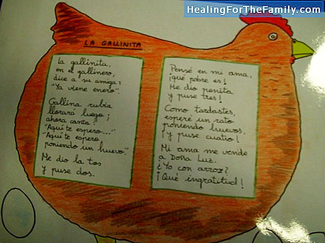 La gallina. La poesia di Gloria Fuertes Bambini