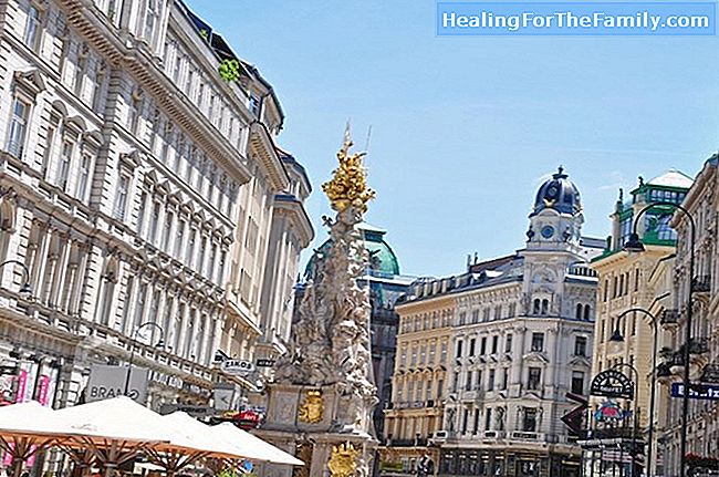 I migliori hotel e ristoranti a Vienna per bambini