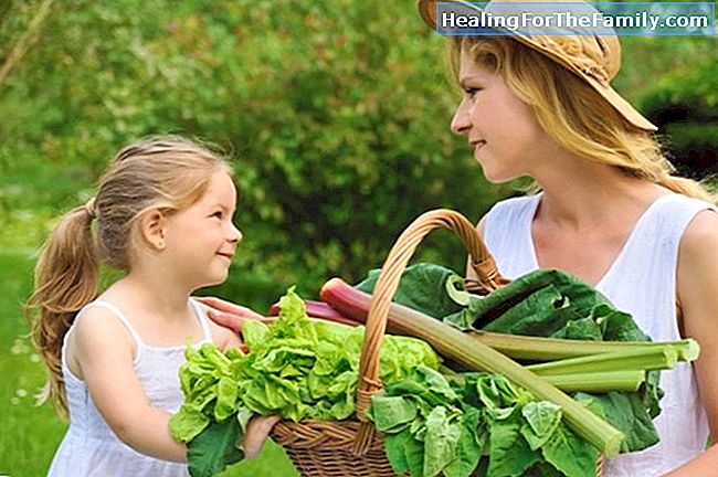 היתרונות של אצות בתזונה של ילדים