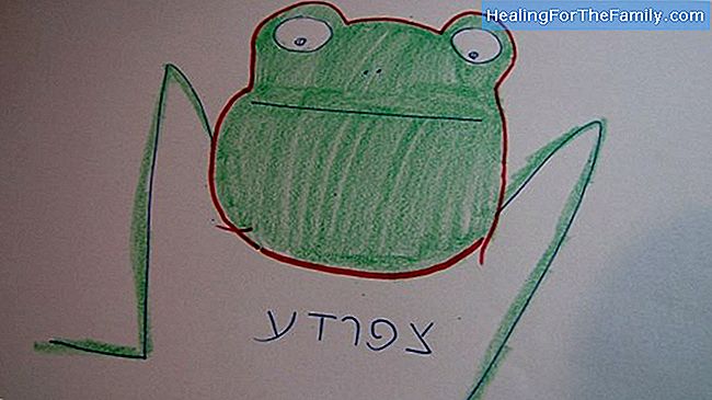 איך לצייר צפרדע. ציורי ילדים
