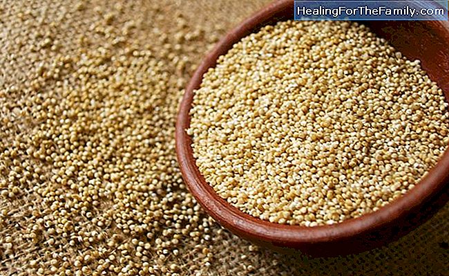 Voordelen van quinoa in het dieet van kinderen