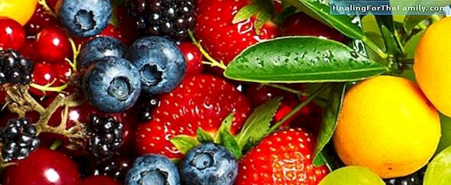 Spring fruit in het dieet van uw kinderen