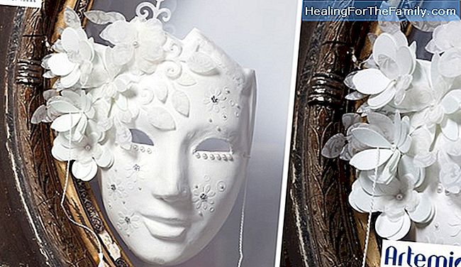 Bloemenmasker met papieren bord. Crafts Carnival