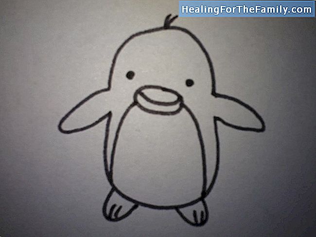 Hoe je een tekening van een pinguïn stap