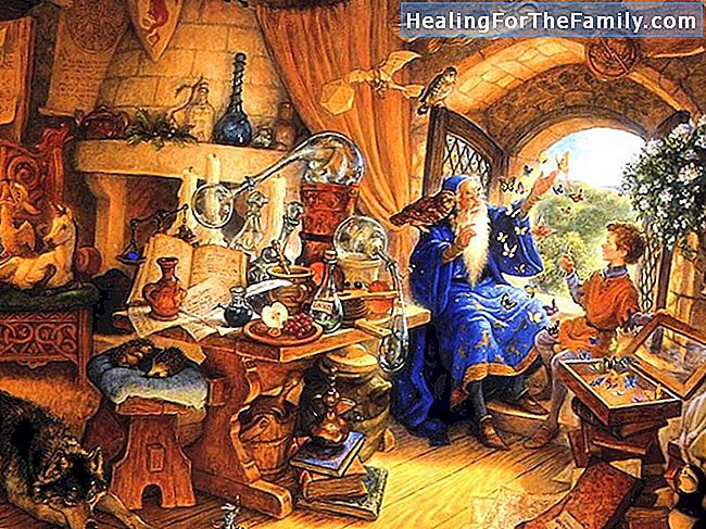 Merlin the Wizard. Traditionele verhalen in het Engels voor kinderen