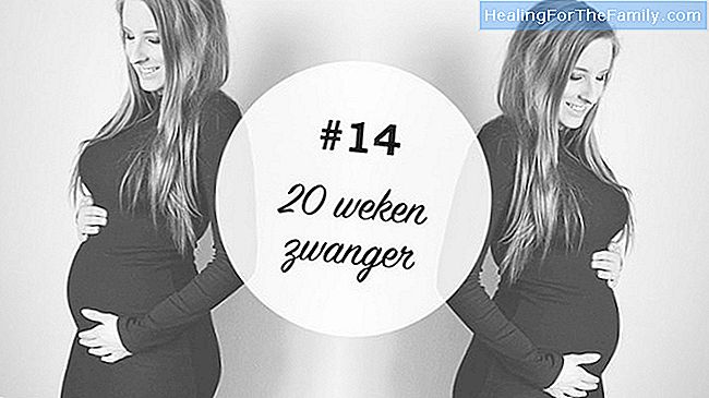 19 Weken zwanger