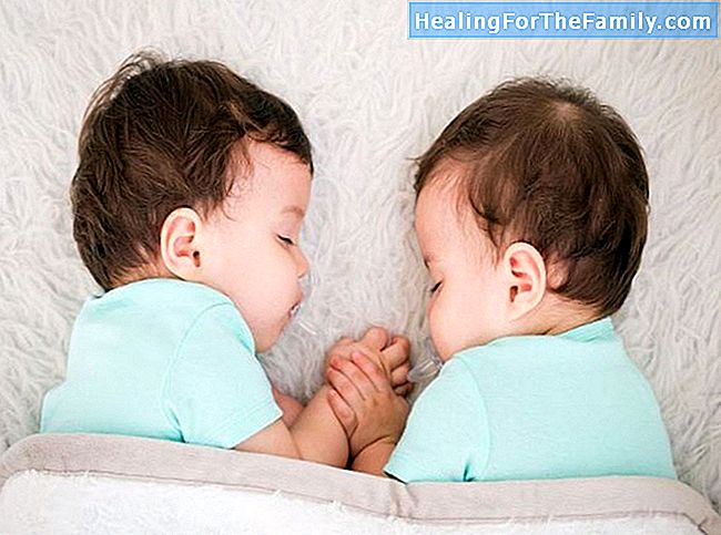 Tweeling en tweeling. Zwangerschap, bevalling en de zorg