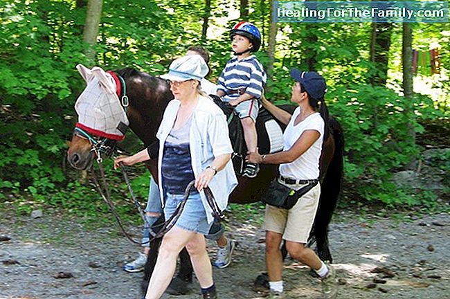 Eller hippotherapy hippotherapy for barn