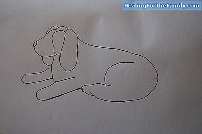 Hvordan å tegne en skilpadde. Tegninger for barn