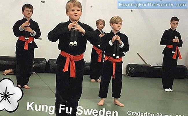 Kung Fu for barn