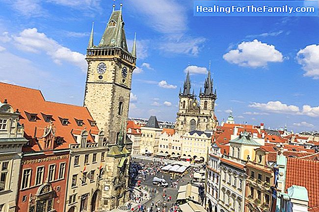 De beste hoteller og restauranter i Praha for barn