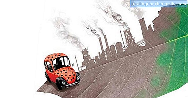 Como explicar a poluição ambiental para crianças