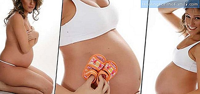 Como se preparar para o aleitamento materno durante a gravidez