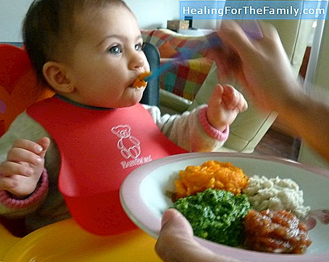 Receitas para bebês Alimentos para bebés e purê