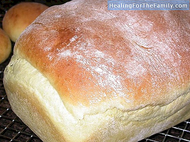Pão fatiado ou pão tradicional, que é o mais saudável para as crianças?