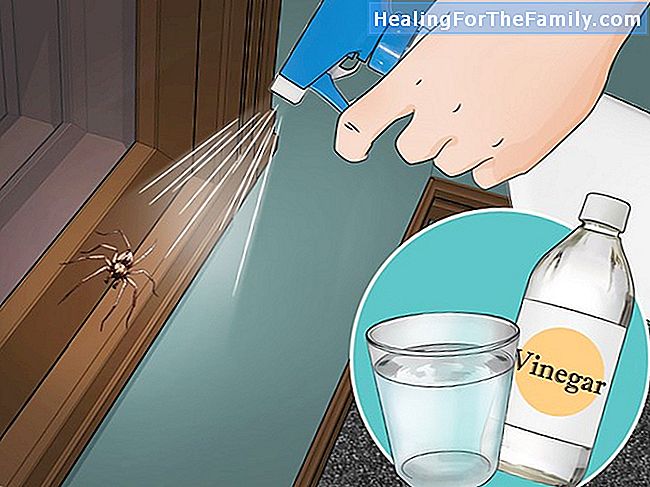 Truques para prevenir mordidas de mosquito em crianças