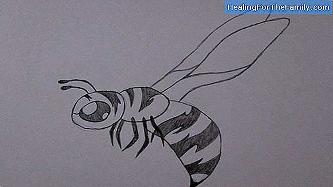 Como desenhar uma abelha passo a passo