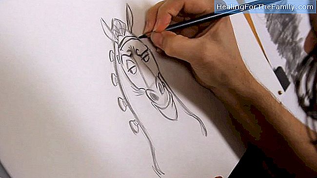 Como desenhar um cavalo passo a passo