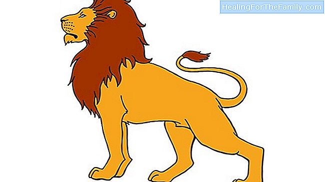 Como desenhar um leão. Desenhos de animais para crianças