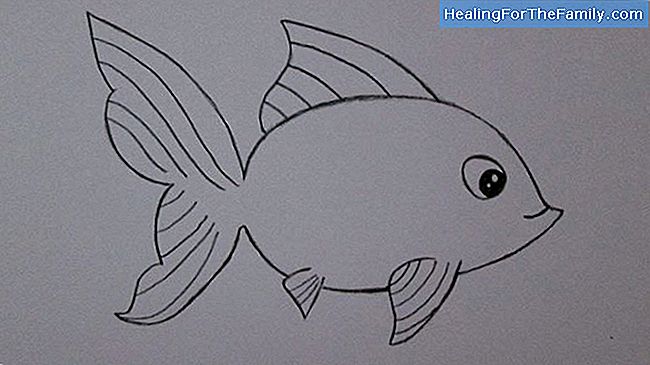 Como fazer, passo a passo, um desenho de um peixe