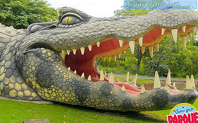 O crocodilo gigante. Poesia com rima para crianças