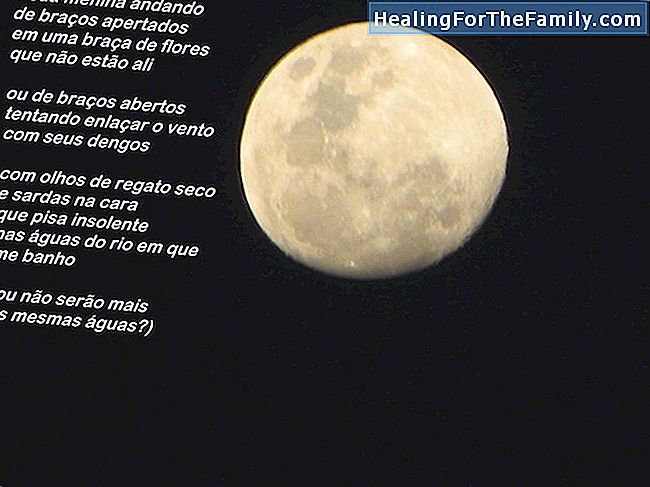 As fases da lua. Poemas didáticos da criança
