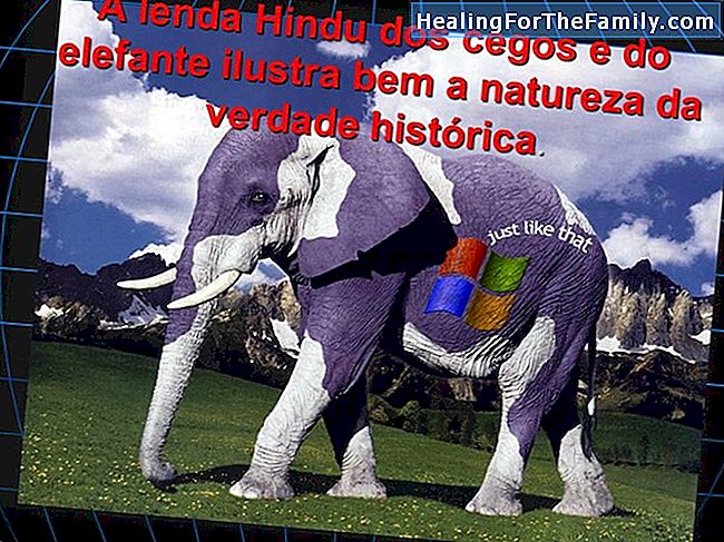 A verdade do elefante. Legenda hindu para crianças
