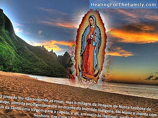 Dia da Virgem de Guadalupe, 12 de dezembro. Nomes para meninas